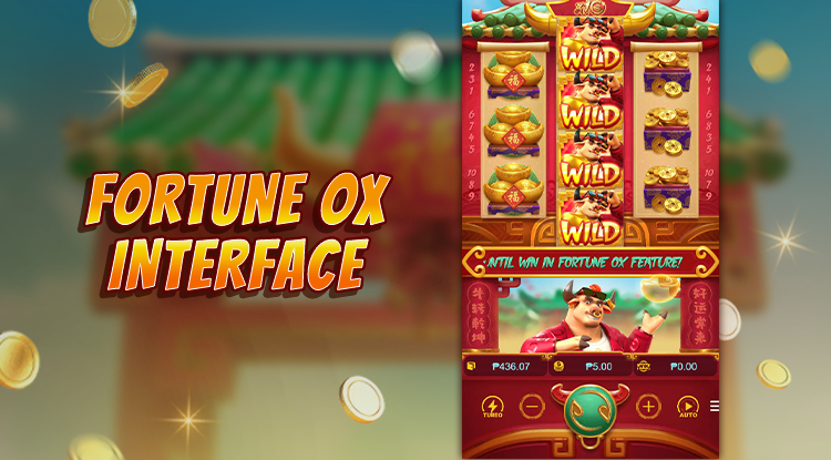 Slot Volatility Explained Beginner Guide 2026